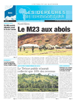 Les Dépêches de Brazzaville : Édition kinshasa du 29 octobre 2013