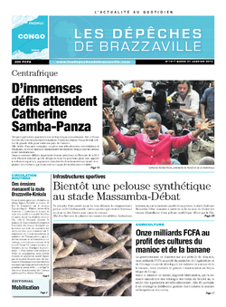 Les Dépêches de Brazzaville : Édition brazzaville du 21 janvier 2014