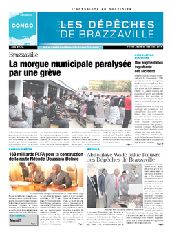 Les Dépêches de Brazzaville : Édition brazzaville du 20 février 2014