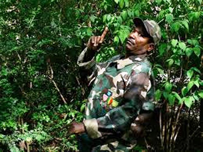 Zao, parrain de la 6e édition Zao, parrain de la 6e édition