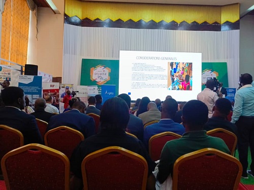 Photo 2  : Vue partielle des participants aux panels de la « DRC Day »