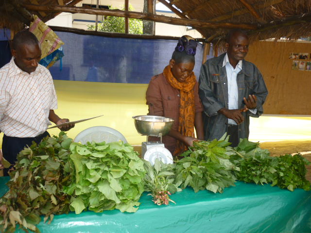  des exposants de la quinzaine commerciale des produits locaux