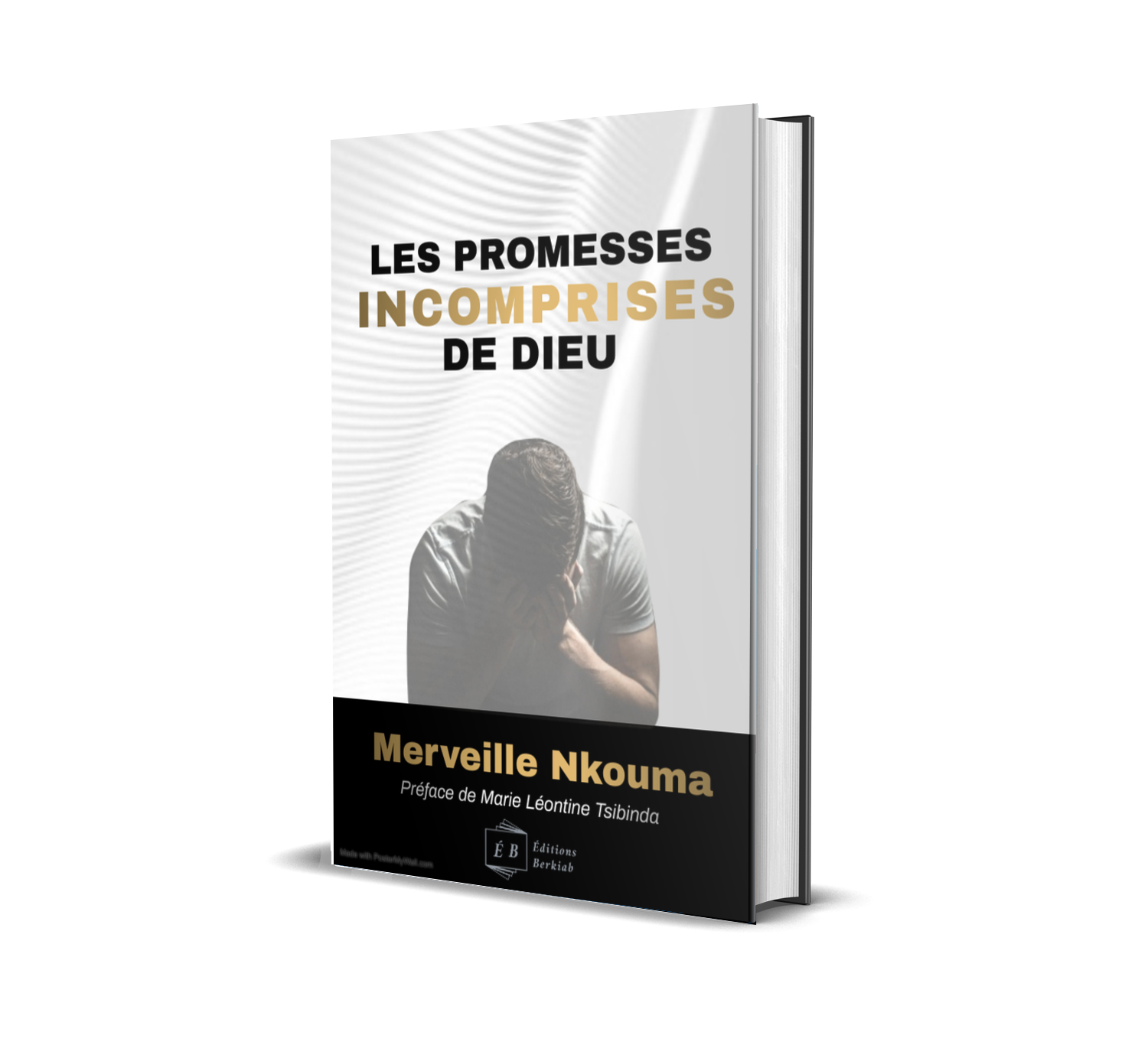 Couverture du livre Les promesses incomprises de Dieu